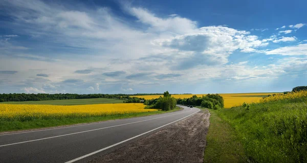 Road Panorama Sunny Summer Day Countryside — Stock Photo, Image