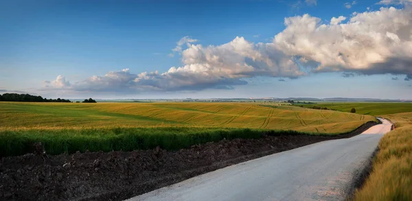 Straße Roggenfeld Schöne Sommerlandschaft Mit Abendlicht Blauem Himmel Und Wolken — Stockfoto