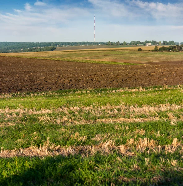 Agricultural Landscapes Focus Arable Field Various Plots Farmers — 스톡 사진