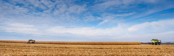 panoramic view of a corn field where harvesters are working, harvesting, great sky with clouds