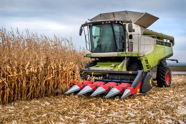 combine harvester working in a corn field during harvest