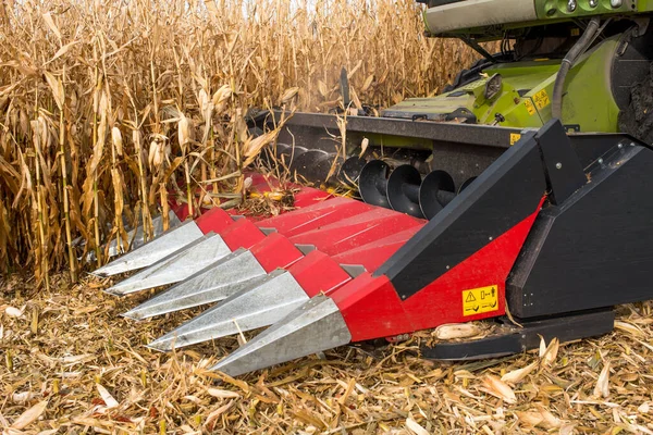 combine red harvester working in a corn field during harvest