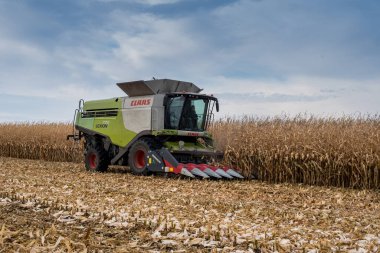 TERNOPIL REGION, UKRAINE - November 04, 2021 - A CLAAS combine harvester cuts a stalk of corn