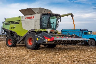 Pouring corn grain from combine, harvester work in a corn field during harvest