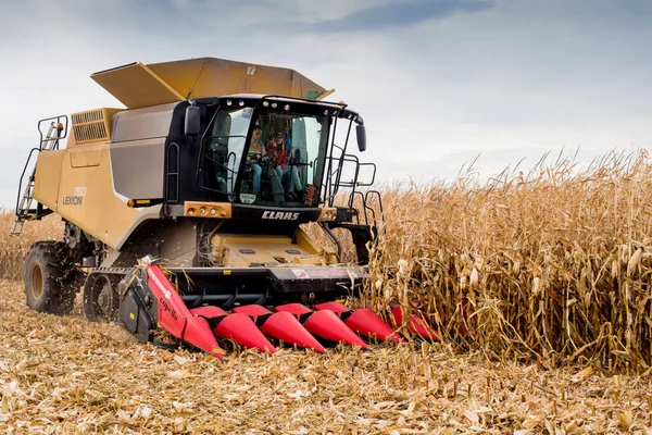 Ternopil Region Ukraine November 2021 Claas Combine Harvesting Corn Field — стоковое фото