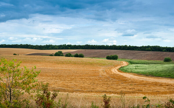 field after the harvest and the green field under dark storm clouds, the border of summer and autumn
