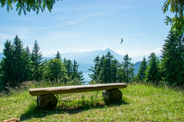 Úžasný Výhled Dřevěnou Lavičku Lese Odpočívadlo Pro Pěší Turisty Interlakenu — Stock fotografie
