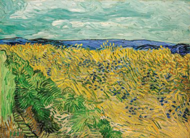 Van Gogh, wheatfield with cornflowers, is an oil painting on canvas 1890 - by Dutch painter, drawer and printmaker, Vincent Willem van Gogh (18531890). 