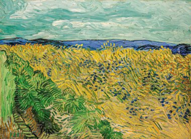 Van Gogh, wheatfield with cornflowers, is an oil painting on canvas 1890 - by Dutch painter, drawer and printmaker, Vincent Willem van Gogh (18531890). 