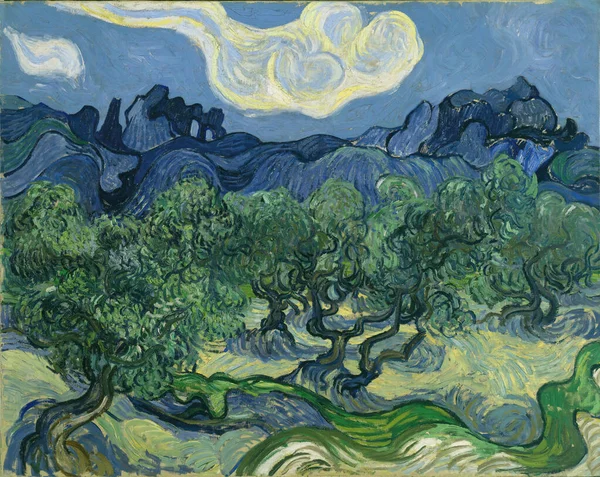 Die Olivenbäume Sind Ein Ölgemälde Auf Leinwand 1889 Chr C19 — Stockfoto