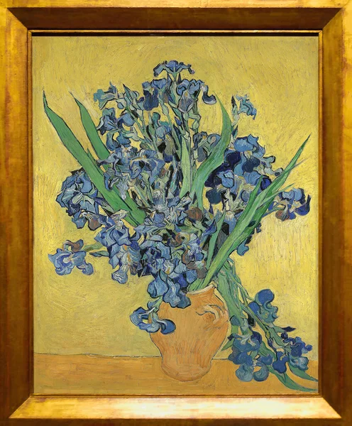 Iris Dipinto Post Impressionismo Dell Artista Olandese Vincent Van Gogh — Foto Stock