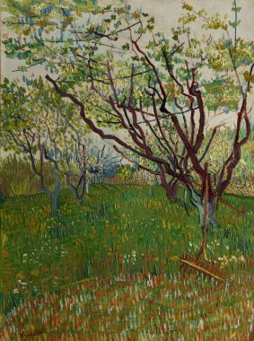 The Flowering Orchard, is an oil painting on canvas 1888 - by Dutch painter Vincent Willem van Gogh (1853-1890).