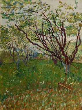 The Flowering Orchard, is an oil painting on canvas 1888 - by Dutch painter Vincent Willem van Gogh (1853-1890). clipart