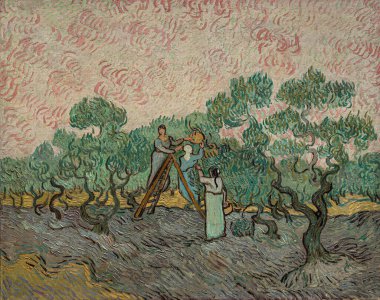Zeytin Toplayan Kadınlar, Hollandalı ressam Vincent Willem van Gogh 'un 1889 tarihli yağlı boya tablosu.).