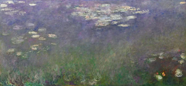 Water Lilies Agapanthus Dipinto Olio Tela 1915 Del Pittore Francese — Foto Stock