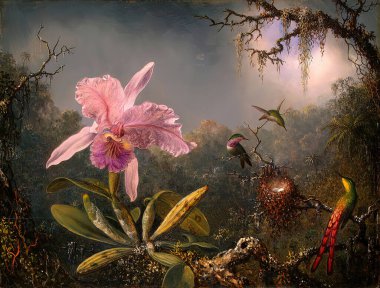 Cattelya Orchid and Three Brazilian Hummingbirds, Oil painting on canvas which 1871- by Artist Martin Johnson Heade (1819-1904).