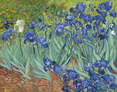 Vincent van Gogh (Hollandaca, 1853 - 1890), süsen çiçekleri, 1889, post-empresyonizm. tuval üzerinde yağ.