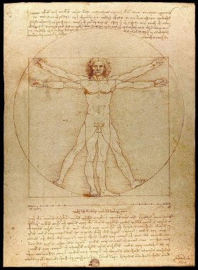 The Vitruvian Man, The Oportions of the human figure (Vitruvius 'tan sonra), 1492 (MS 15. yüzyıl) (kağıt üzerine kalem ve mürekkep), İtalyan sanatçı Leonardo da Vinci (1452-1519)).