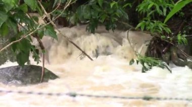 Brezilya 'da küçük bir nehirde şelale