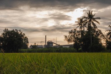 Bölüm toplumunda pirinç tarlasının yanında küçük bir enerji santrali bulunmaktadır.