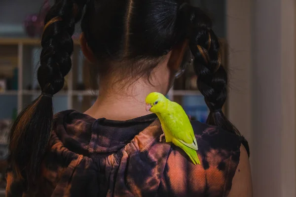 Forpus Papagei Steht Auf Mädchenkörper Zimmer — Stockfoto