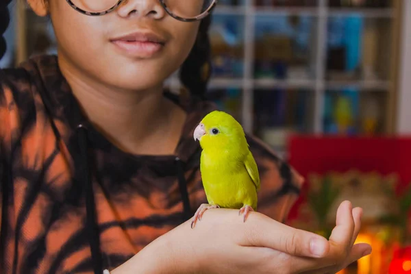 Forpus Papagei Steht Auf Mädchenkörper Zimmer — Stockfoto