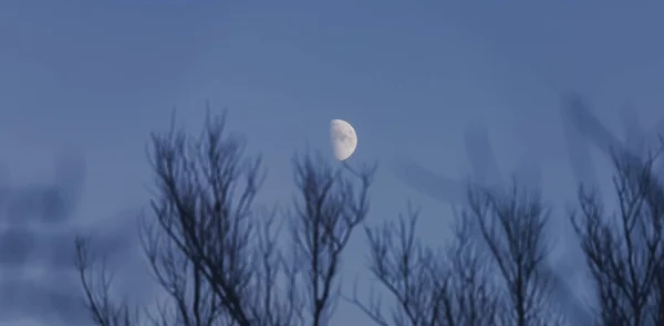 Półksiężyc Lecący Ciemnym Niebie Odbija Światło Słoneczne Jak Dotąd Jest — Zdjęcie stockowe