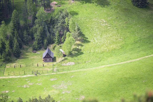 Photo One House Which Path Some People Walk Whole Scene — Stock Photo, Image