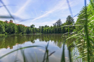 Fotoğrafta ağaçlarla ve binalarla çevrili bir gölet var. Dünyanın çevresindeki yansıması yüzeyden yansımaktadır. Gökyüzü mavi ve güneşli güzel bir gün..