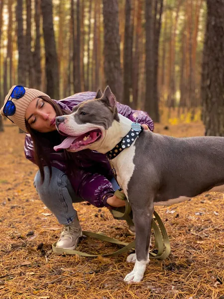 Morena Mujer Caucásica Con Perro Americano Stafford Fuera Posando Soleado —  Fotos de Stock