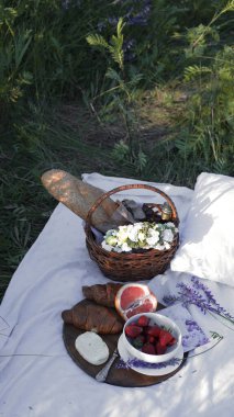 Yaz - çayırda piknik. Peynirli peynir, baget, çilek, kiraz, şarap, kruvasan ve sepet.