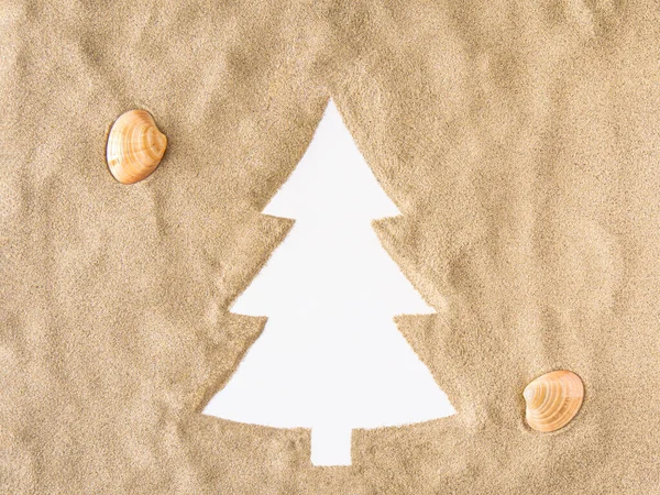 圣诞树在沙滩上 白色背景 复制空间和热带贝壳 最低限度概念概念 图库图片