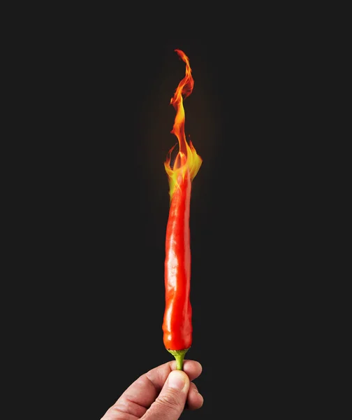 手拿红辣椒在火上 黑色背景 创新的极简主义概念 图库图片