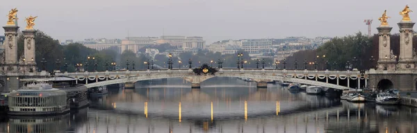 アレクサンドル3世橋は パリのセーヌ川に架かるデッキアーチ橋である 市内で最も華やかで豪華な橋として広く認められている フランスの歴史的建造物に分類される — ストック写真