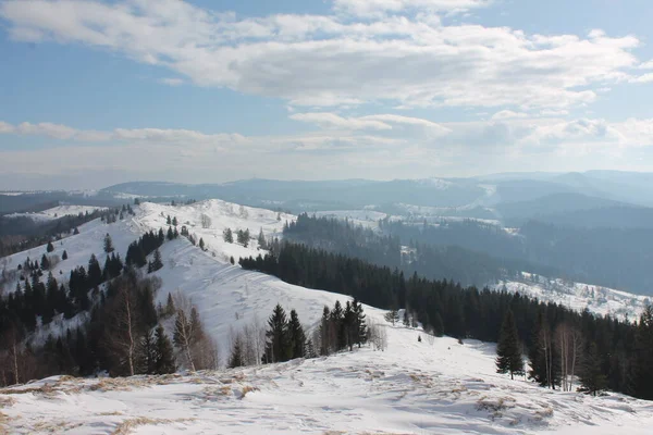 Karpatlar 'ın güzel manzarası