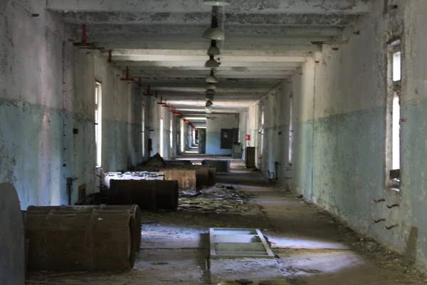 kornobil bölgenin içi