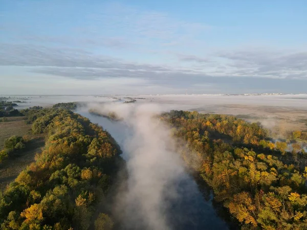 Büyük beyaz bulutları ve sisli mavi gökyüzü ile güzel bir sonbahar ormanı. hava görünümü