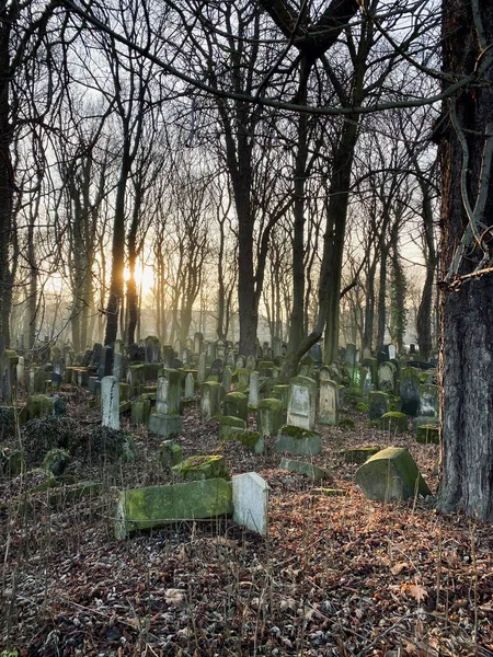 Arka planda fener olan eski bir mezar taşı, sabah sisinde.