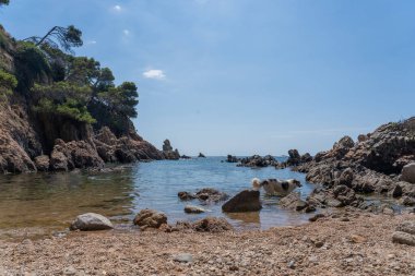 Green landscape of the coast in the sea, summer vacation period in the sea with blue waters and trees