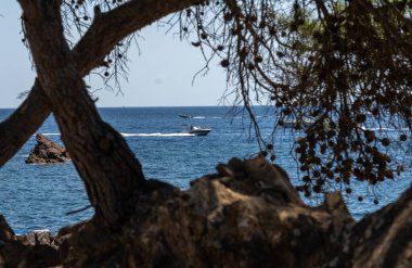 Green landscape of the coast in the sea, summer vacation period in the sea with blue waters and trees