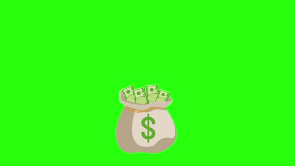 Hand with a bundle of banknotes pops out of the bag of money. — Stock Video