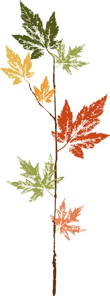 Impression à l'encre colorée d'une feuille d'automne tombée. Feuille aquarelle. — Image vectorielle