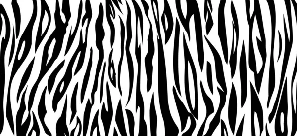 Vector Tiger negro fondo raya blanca. Banner de piel animal. — Archivo Imágenes Vectoriales