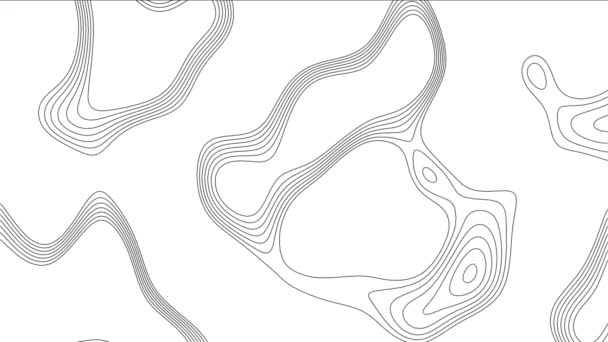 Topographic Line loop Fundo. Textura da linha de contorno. — Vídeo de Stock