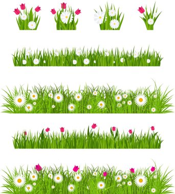 Çimenler, laleler ve papatyalar hazır. Yeşil çiçekli çayır koleksiyonu. Bahar ve yaz çiçekleri. Düz vektör illüstrasyonu.