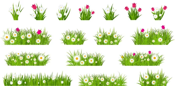 Tráva Tulipány Sedmikrásky Kolekce Zelené Kvetoucí Louky Jarní Letní Květiny — Stockový vektor