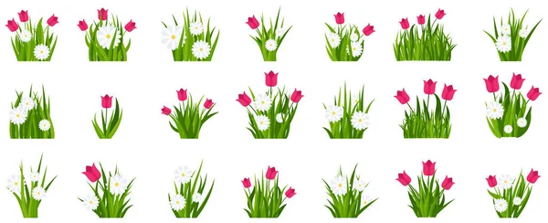 Tráva Tulipány Sedmikrásky Kolekce Zelené Kvetoucí Louky Jarní Letní Květiny — Stockový vektor