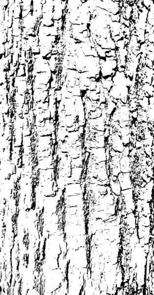 Tree Bark Vector Background Grunge Urban Old Peeled Wall Dust — Stockový vektor