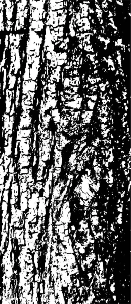 Tree Bark Vector Background Grunge Urban Old Peeled Wall Dust — 스톡 벡터
