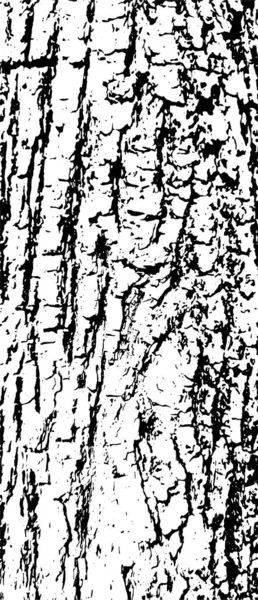 Tree Bark Vector Background Grunge Urban Old Peeled Wall Dust - Stok Vektor